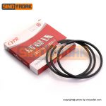 رینگ پمپ باد جدید