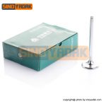 سوپاپ موتور سینو تراک